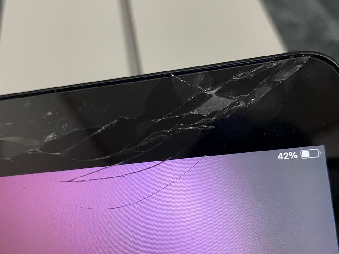 【画面割れ、欠け】iPad mini5/箱付き