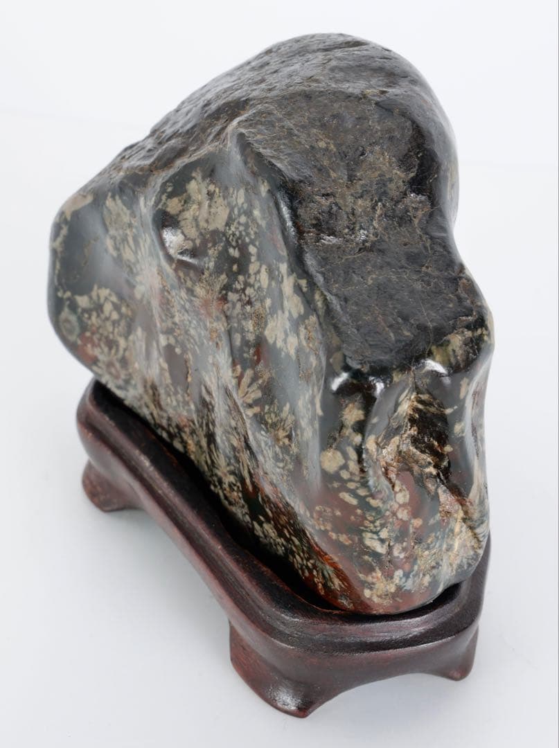 あ*げ様 根尾川産 六華　菊花石 小菊明瞭 台座・共箱付 鑑賞石 盆石 紋石 原