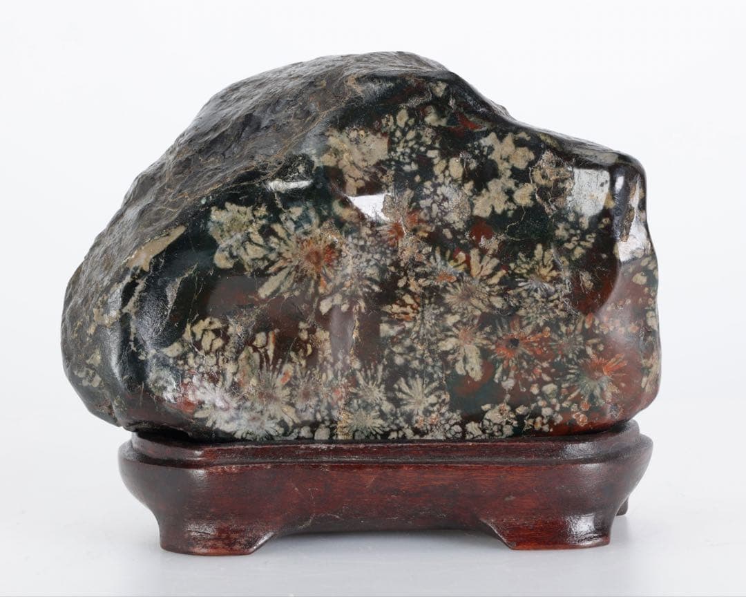 あ*げ様 根尾川産 六華　菊花石 小菊明瞭 台座・共箱付 鑑賞石 盆石 紋石 原