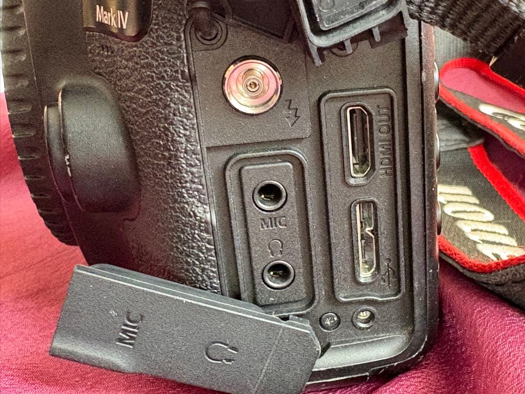 サービスセンターにて点検済　Canon EOS 5D mark 4 付属品完備