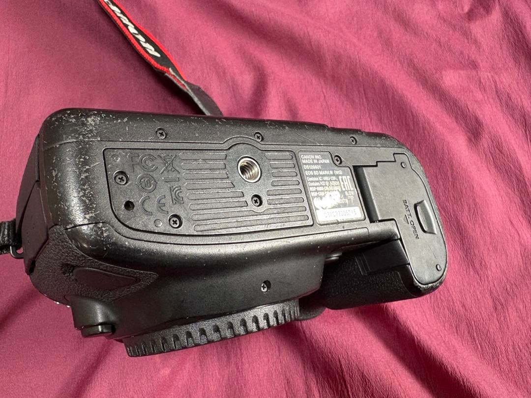 サービスセンターにて点検済　Canon EOS 5D mark 4 付属品完備