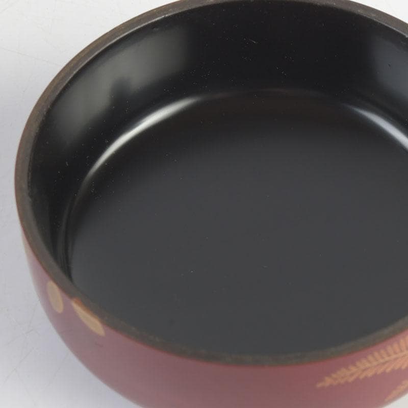 茶道具　朱塗　花草蒔絵　棗　時代箱付　V　9692