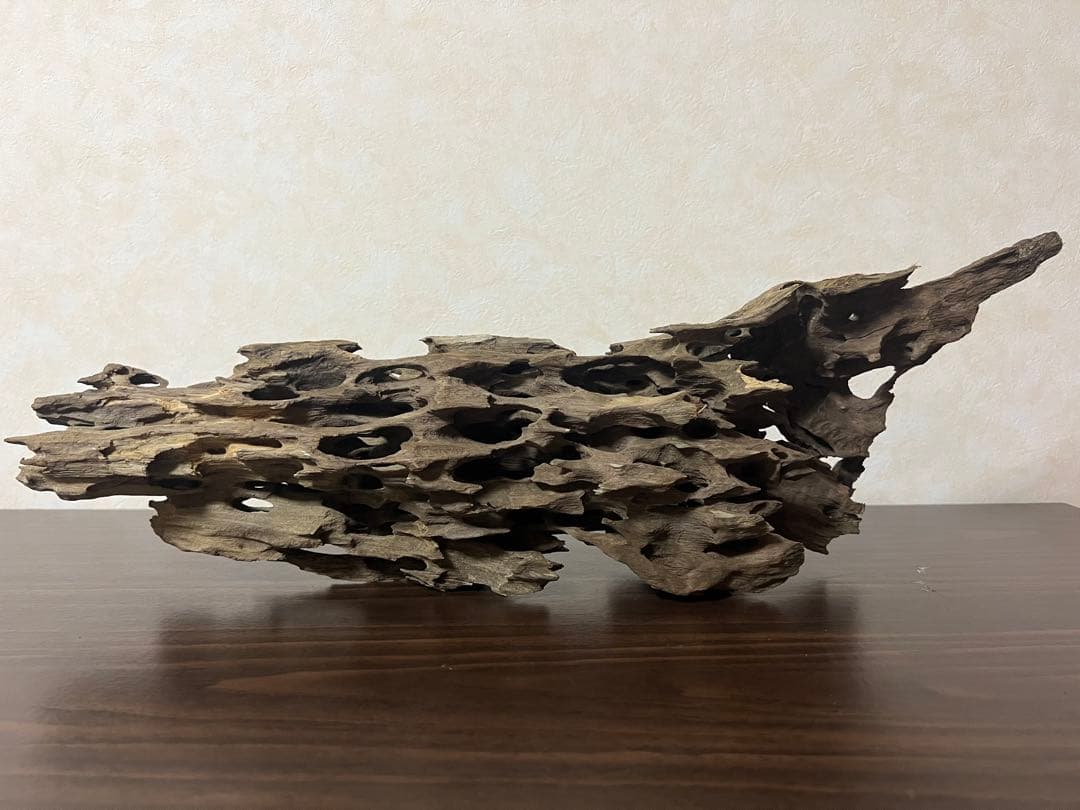 XM-456 流木　マシンガンウッド　アクアリウム　ブランチウッド　沈水確認済