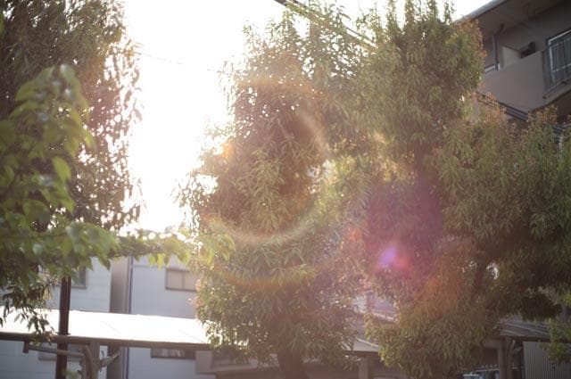 【オールドレンズ】Super takumar 50mm f1.4