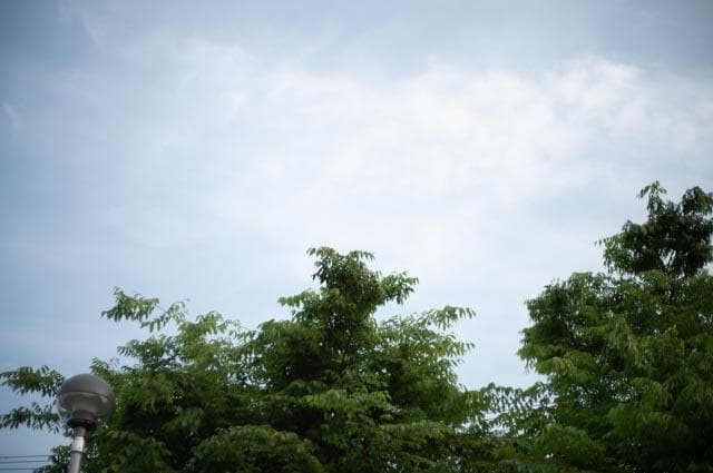 【オールドレンズ】Super takumar 50mm f1.4