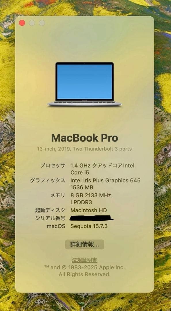 MacBook Pro 13-inch 2019年モデル