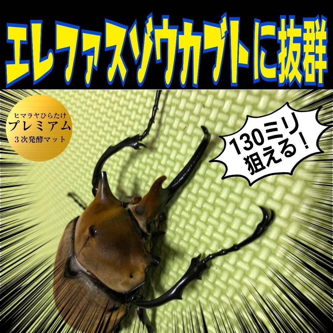 外国産カブトムシに抜群！特選☆プレミアム3次発酵マット【5袋】幼虫の餌、産卵に！