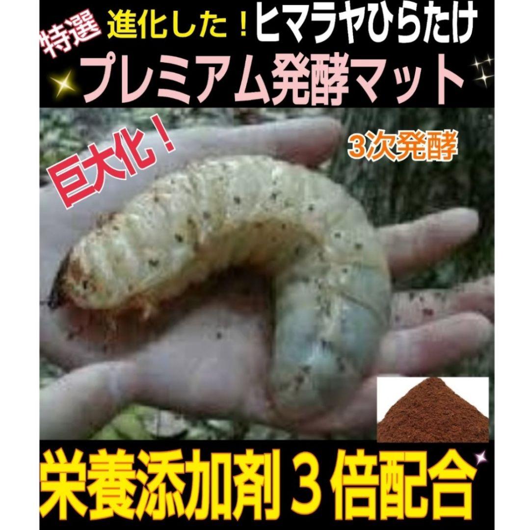 極上！プレミアム3次発酵カブトムシマット【50リットル】特殊アミノ酸強化配合！