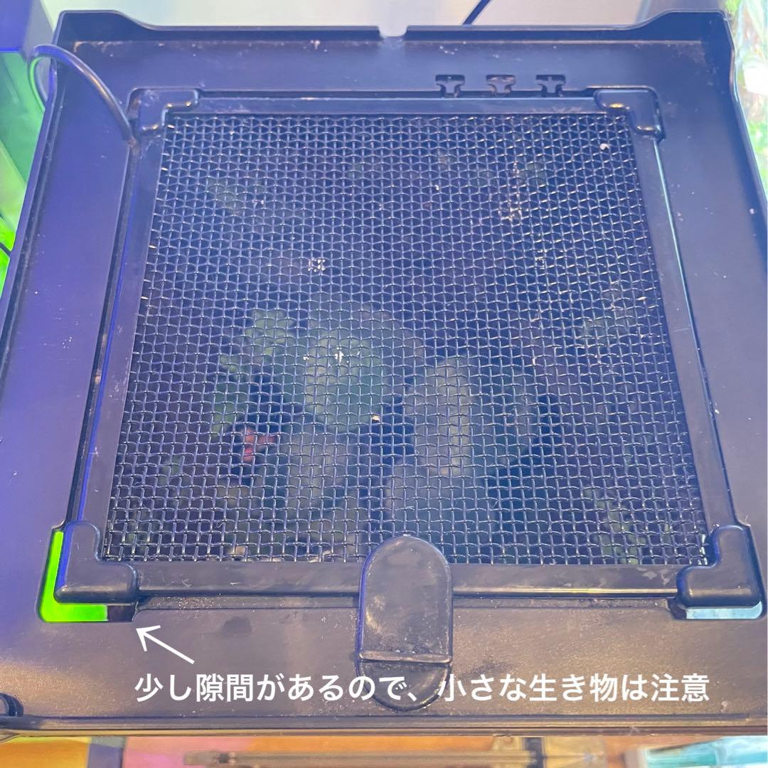 【最終値下げ】レイアウト水槽 イモリウム カエルリウム