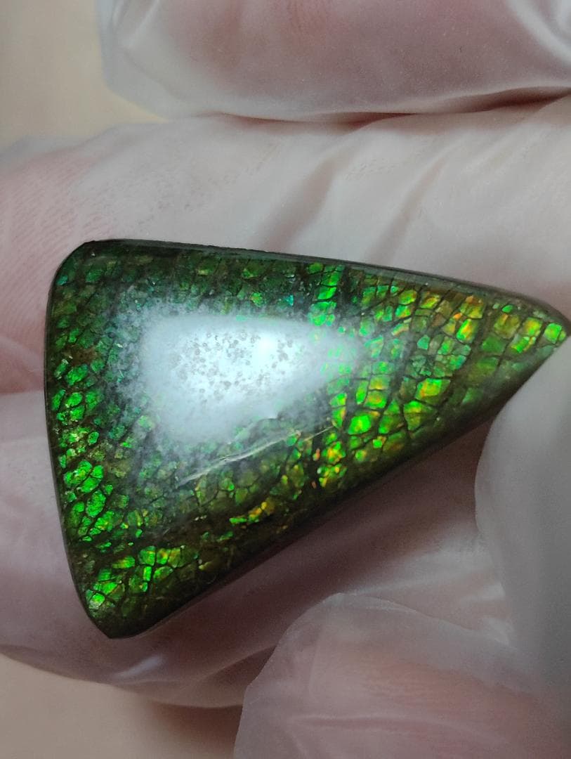 アンモライト　ルース　24-0750 15000