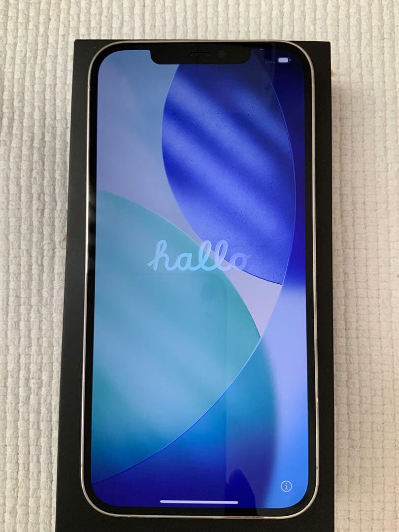 iPhone 12 Pro Max 本体 256GB SIMフリー 残債なし