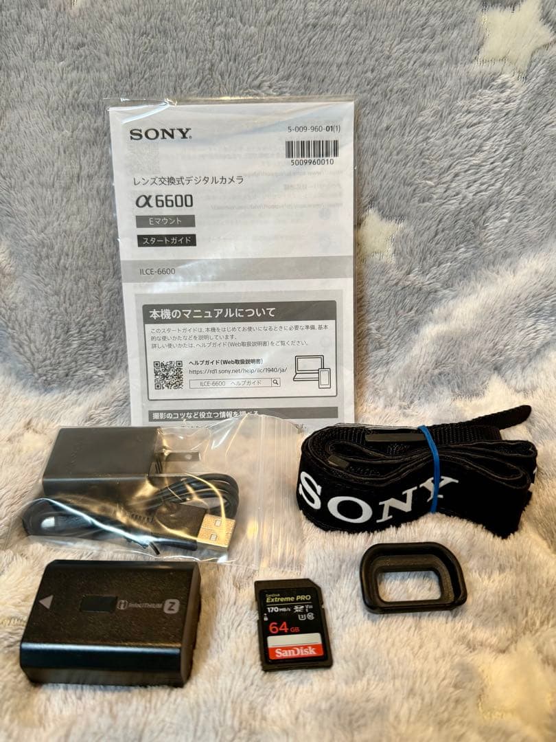 SONY α6600 ミラーレス一眼 本体・付属品一式 元箱付 中古美品