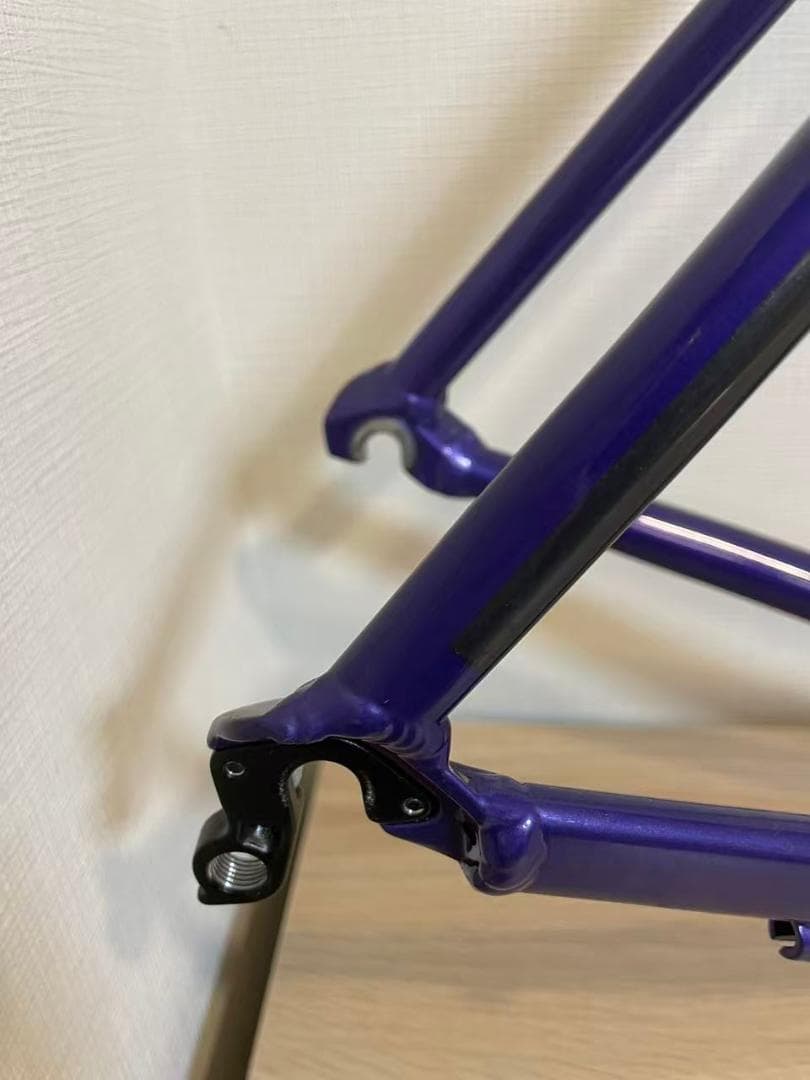 Cannondale CAAD OPTIMO 2019 フレームセット 54