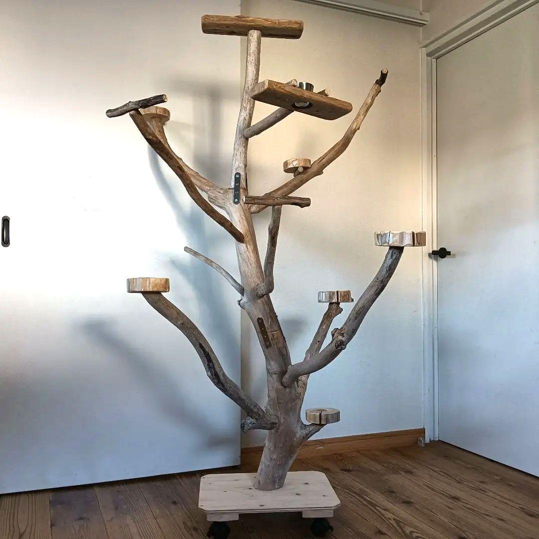 バードアスレチックジム 大型 ⑪ 天然木 自然木 流木 インコ おもちゃ