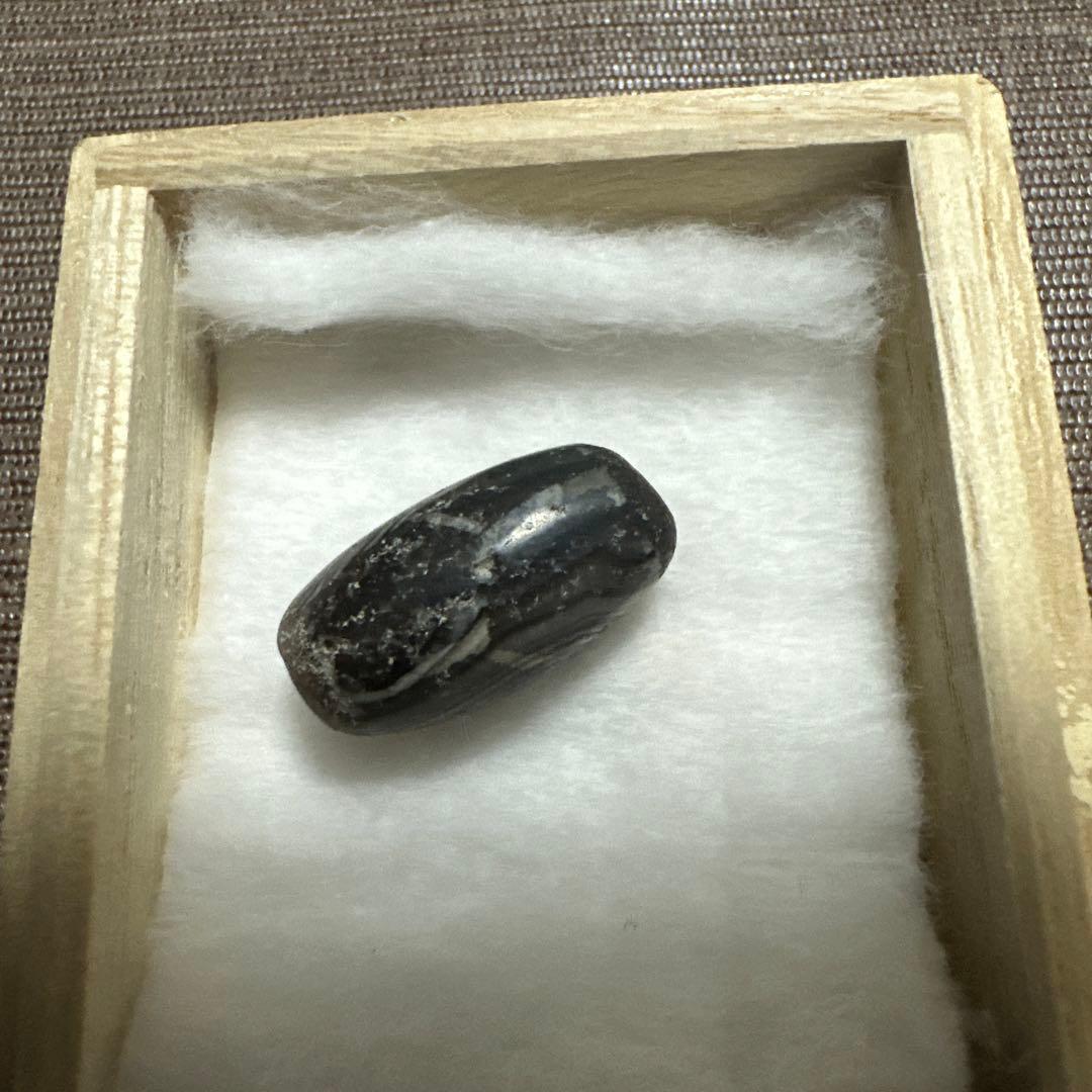 紅朱砂亀甲黒