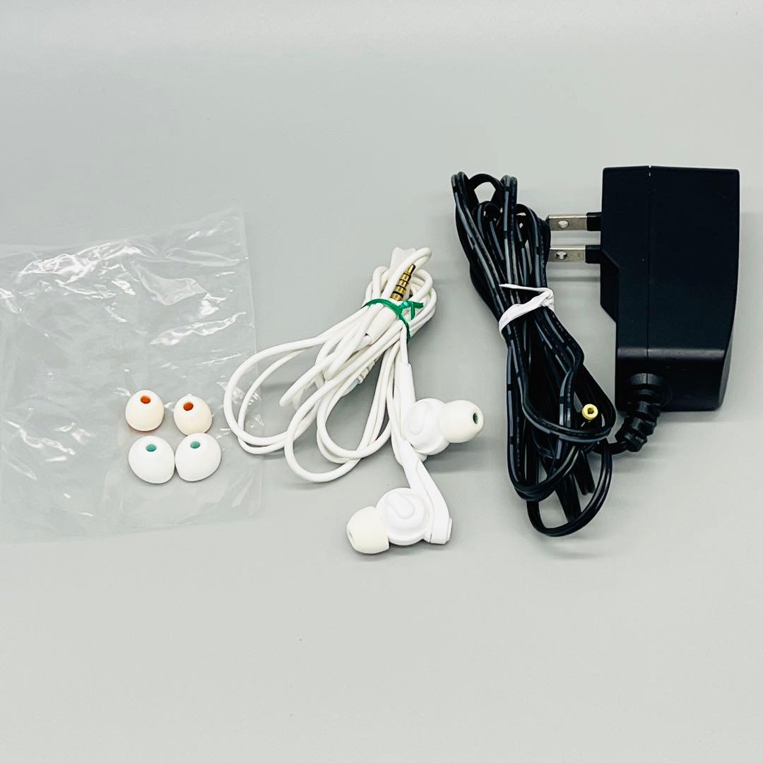 【箱付き】SONY WALKMAN NW-S313K  Blue