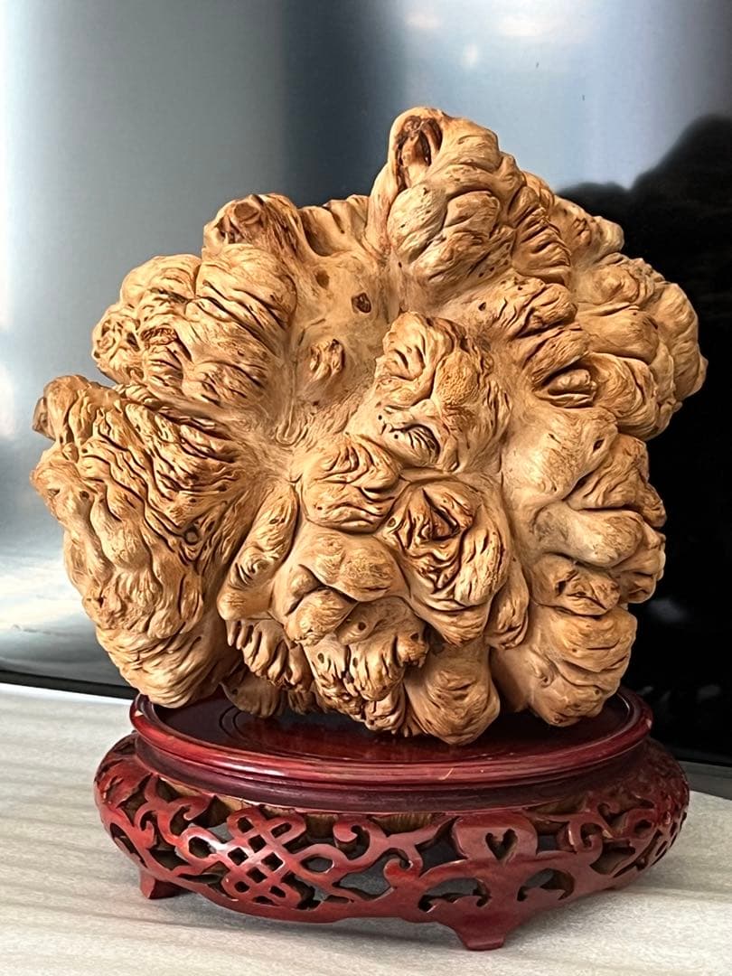 泡瘤 木の瘤 瘤杢 置物