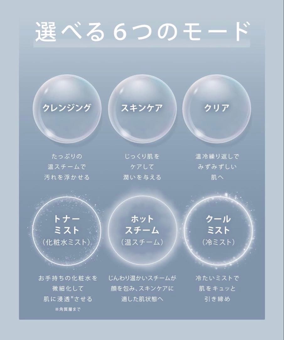 ［新品未使用]SALONIA 『Pure Bright Steamer』グレー