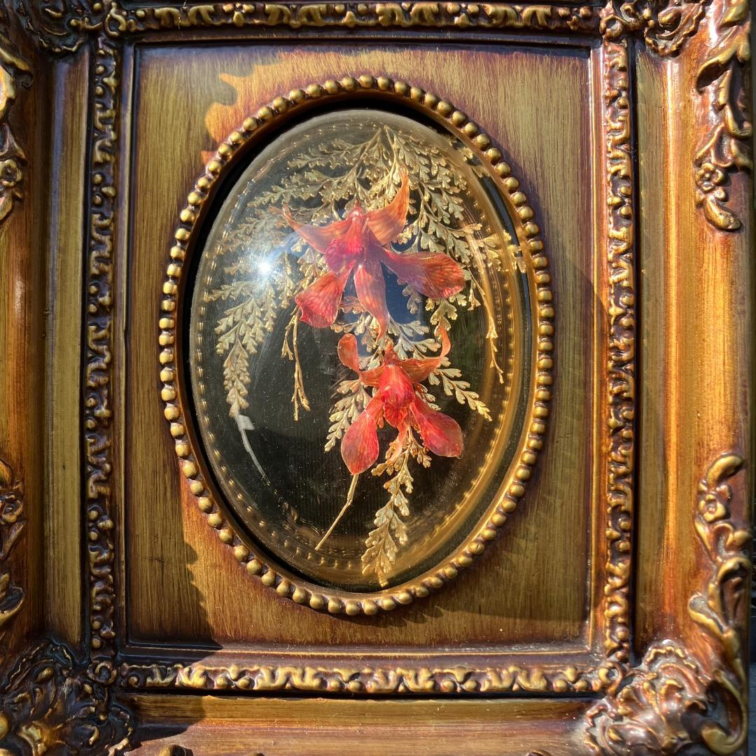 アンティーク　胡蝶蘭　花　金24KGP　リーフインフレーム インテリア ゴールド