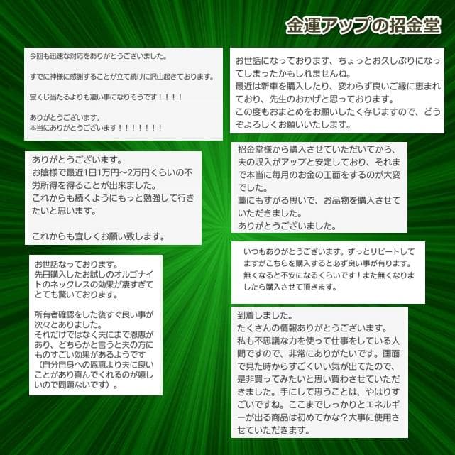 長寿祝い干支置物いのしし（還暦 古希 喜寿 傘寿 米寿 卒寿 白寿 百寿）358