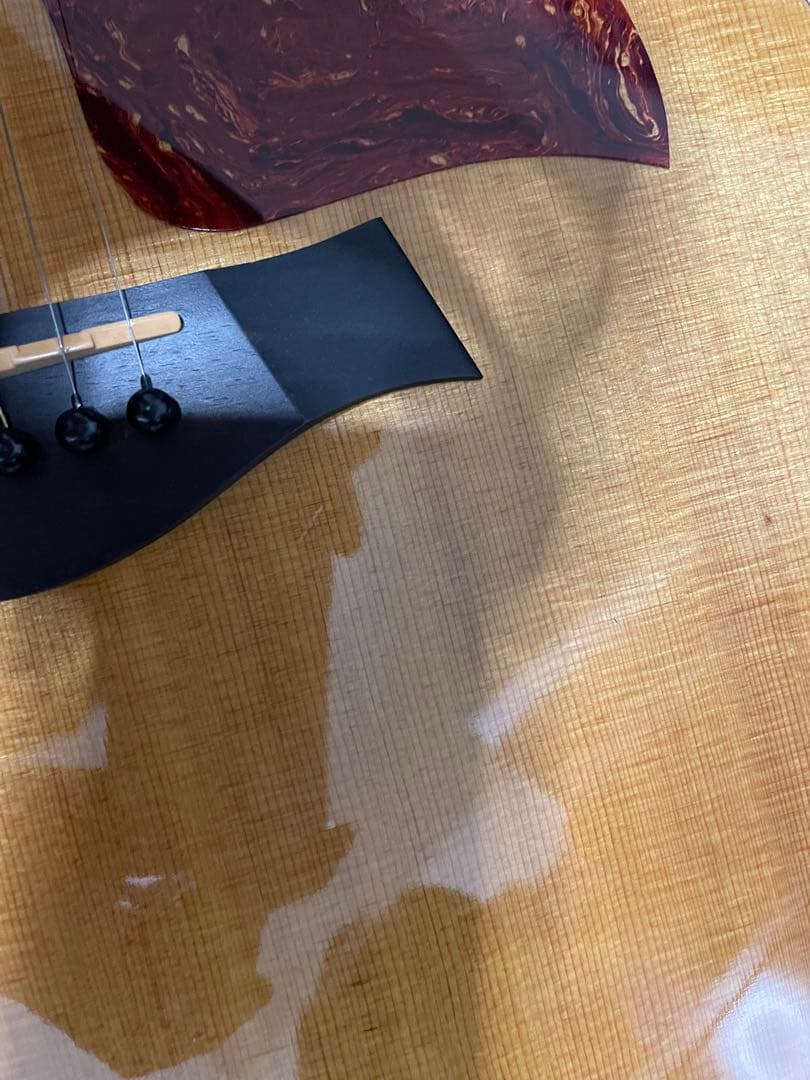 Taylor 210ce アコースティックギター