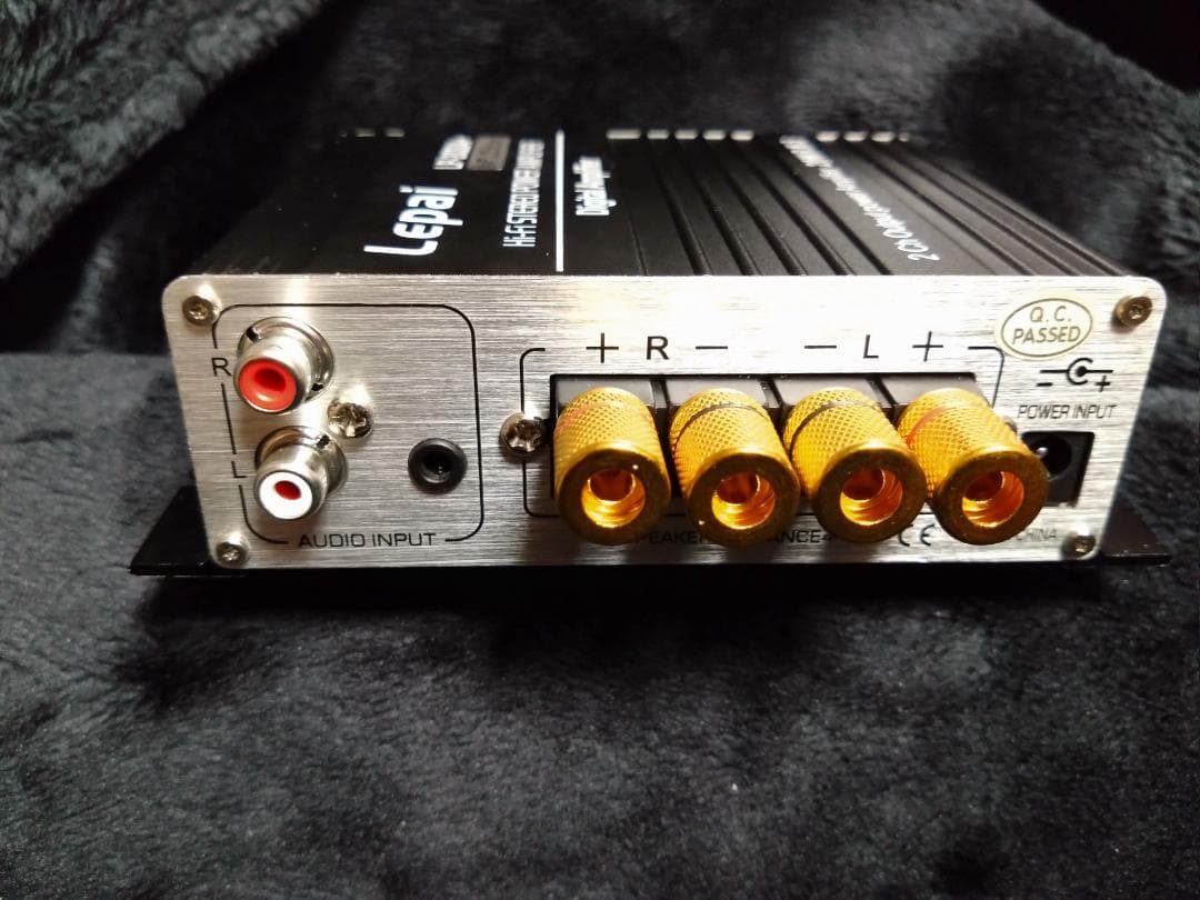 Lepai LP-2020A+ NFJストア別注モデル 第九ロット 改