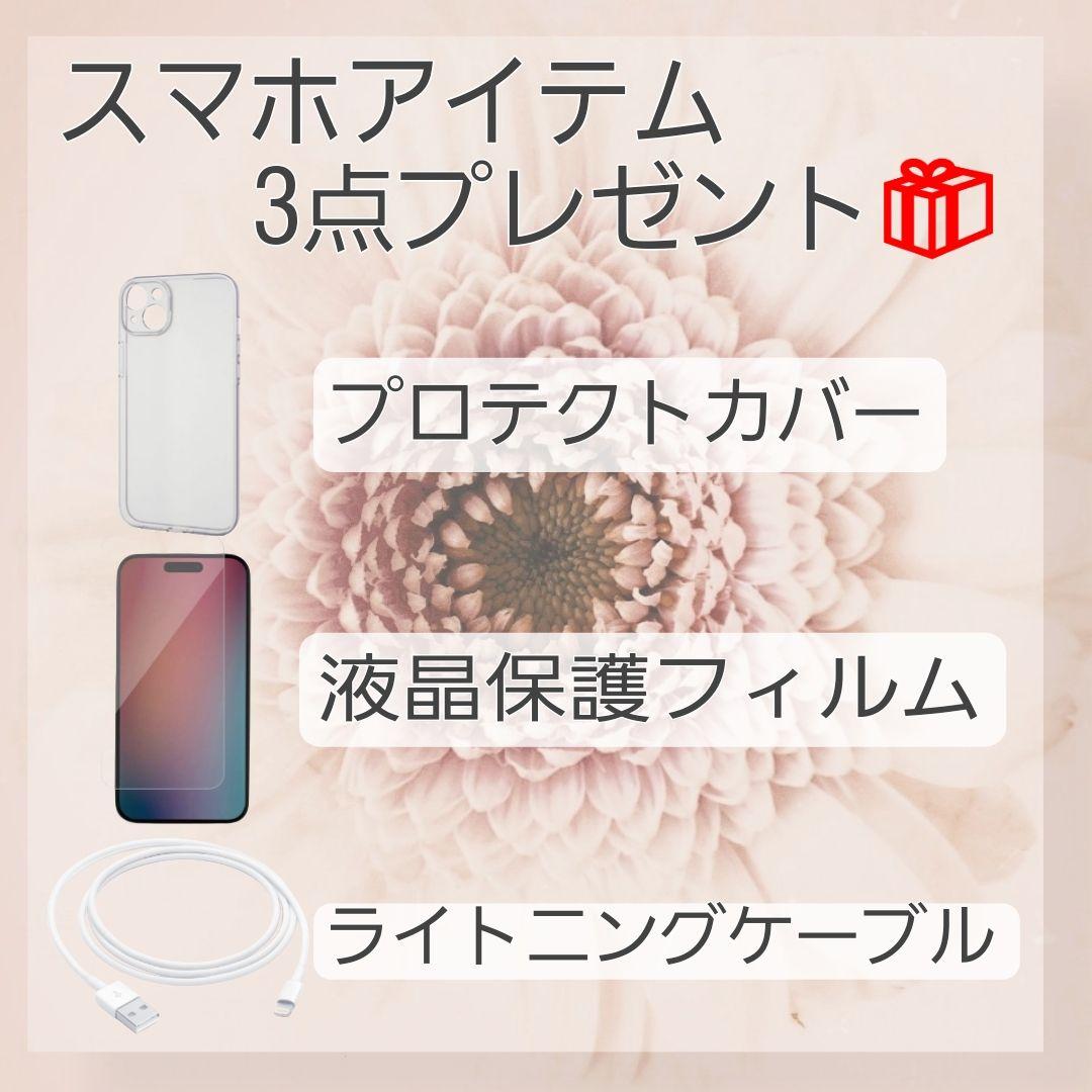 iPhone 12 256GB ホワイト SIMフリー バッテリー新品 大容量