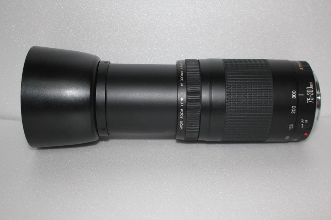 イベント☆望遠レンズ☆スポーツ☆キャノン Canon EF75-300㎜