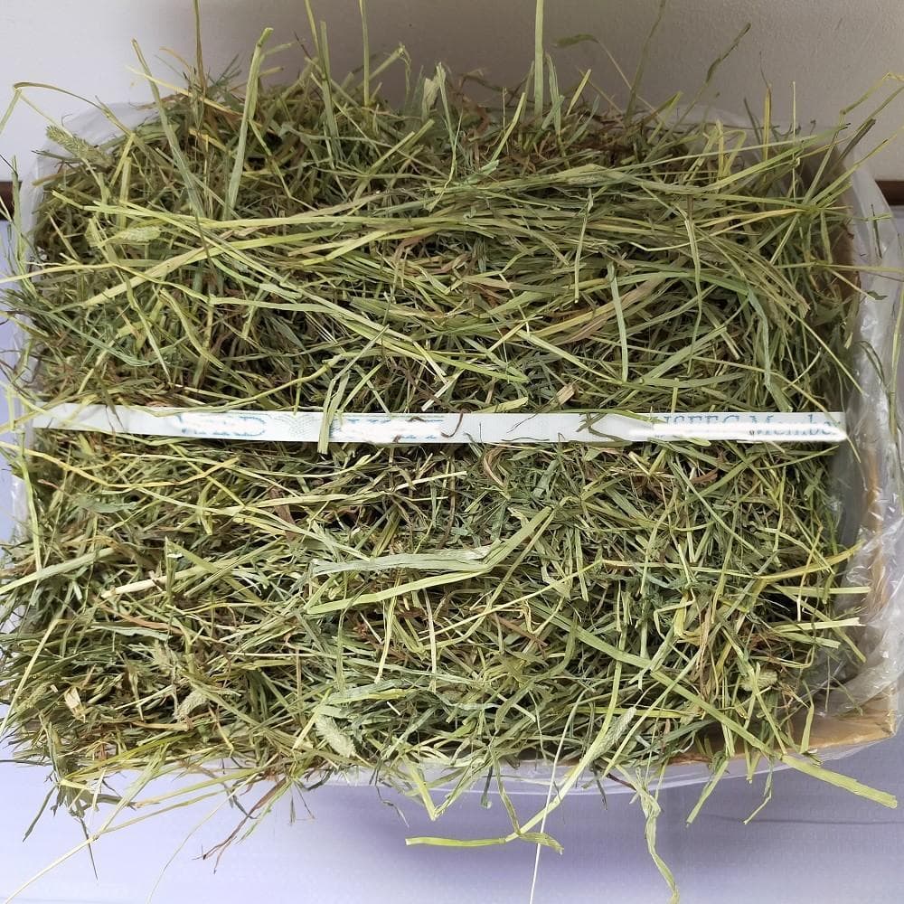 【3/23まで】US産 チモシー 30kg ２番刈 ソフトSプレミアム