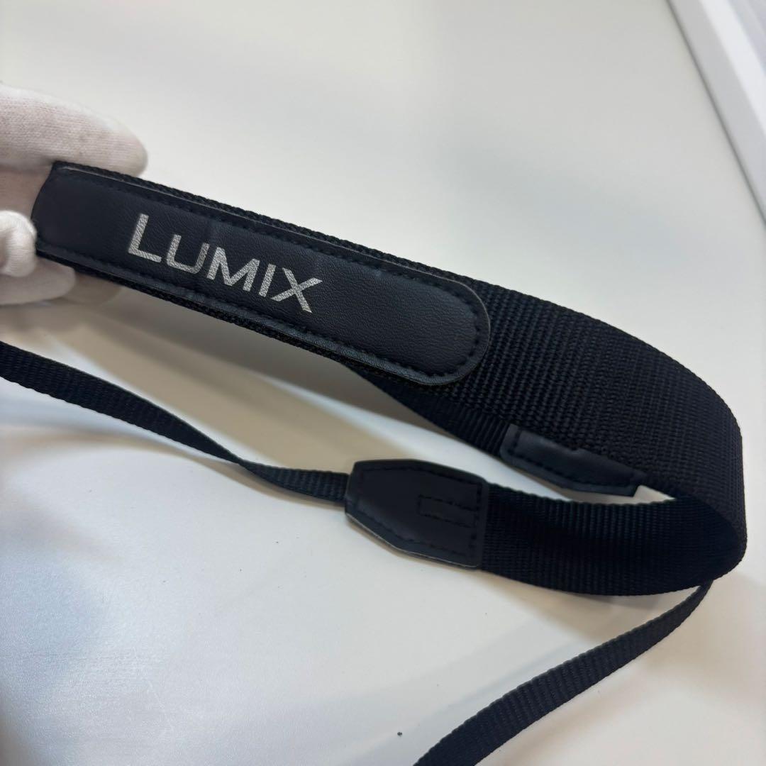 Panasonic LUMIX DC-FZ85 デジタルカメラ