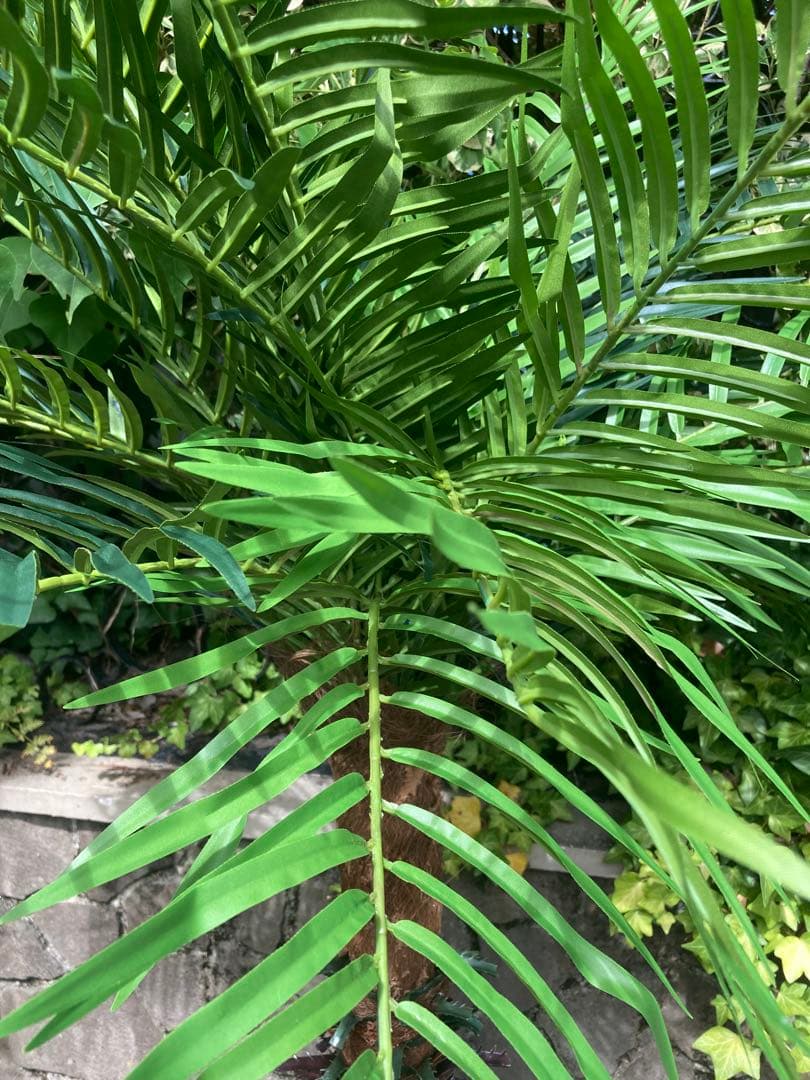 光触媒　人工観葉植物　ウォールグリーン　フェイクグリーン　フェニックス210