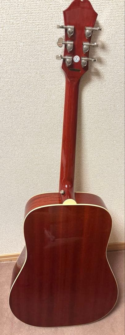 エピフォン　エレアコ　Hummingbird PRO ソフトケース付