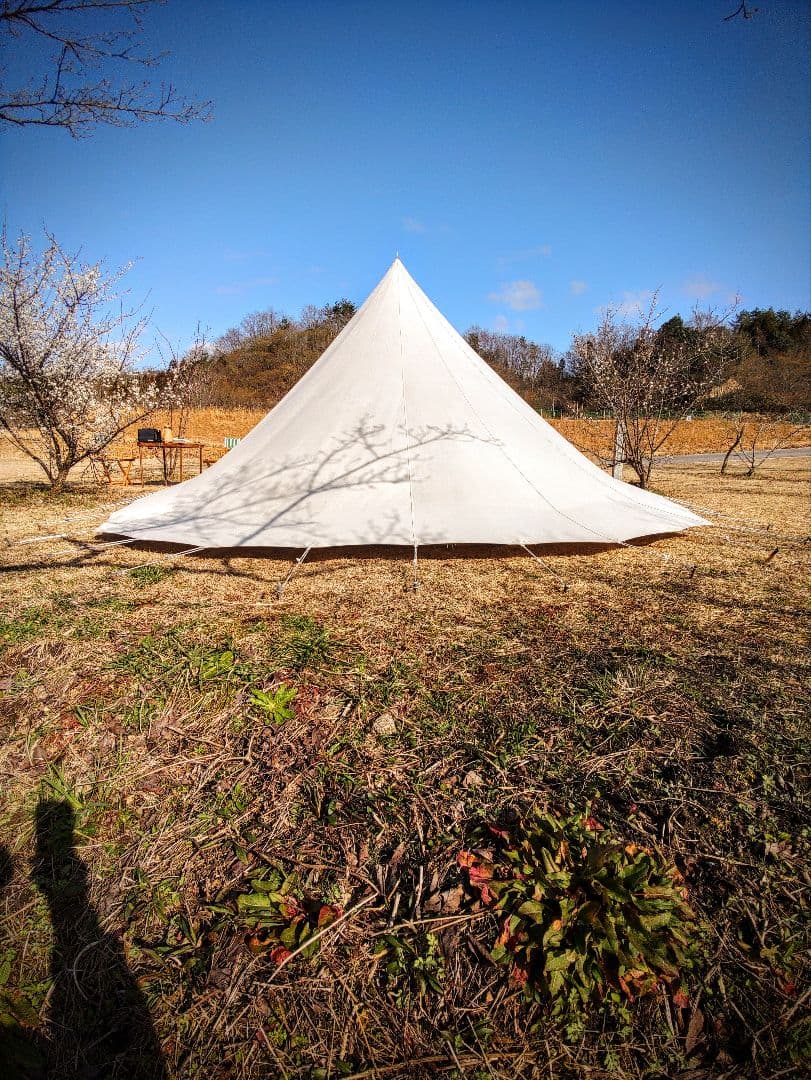 RANDSTAD ランドスタッド ヴィンテージテント dewward