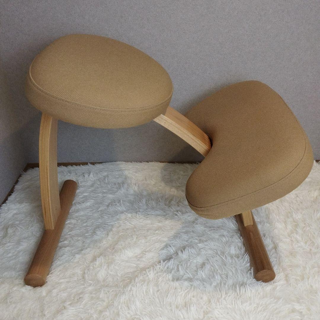 【極美品】balans Easy バランスチェア イージー カバー付