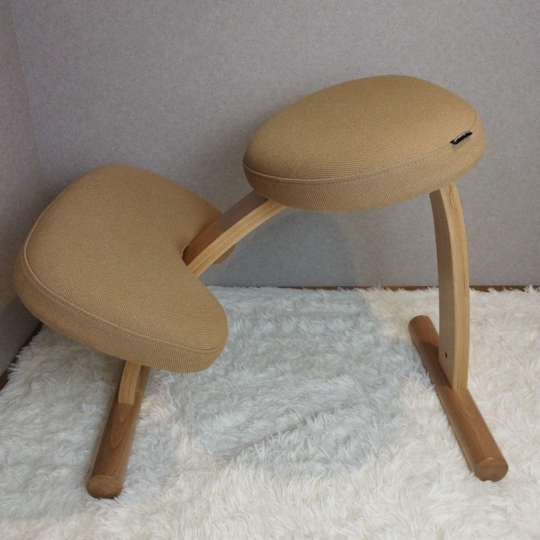 【極美品】balans Easy バランスチェア イージー カバー付