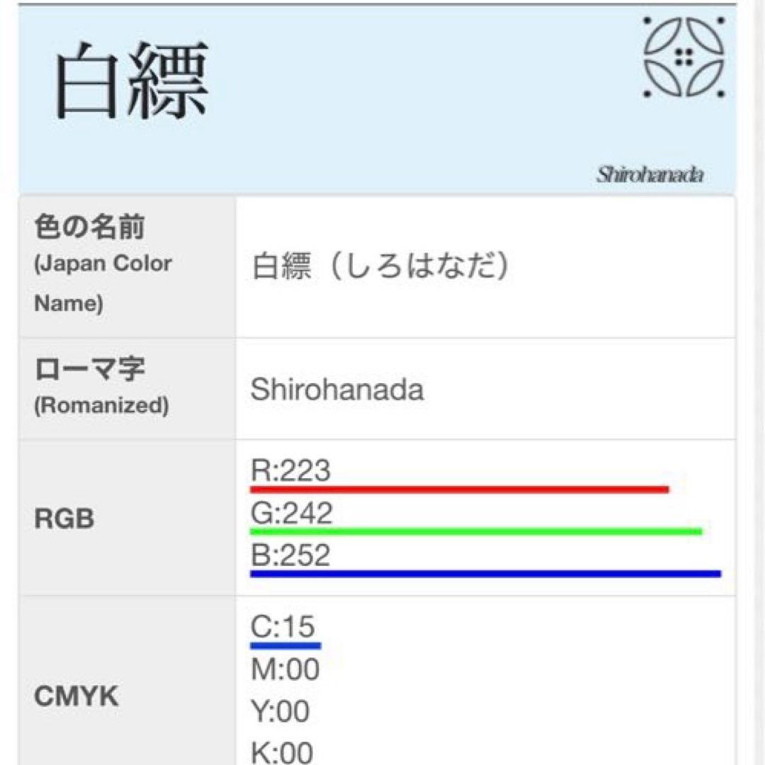 未使用近い　美品　化繊　紗紬風　訪問着　フルセット　5点　身丈163 裄丈69