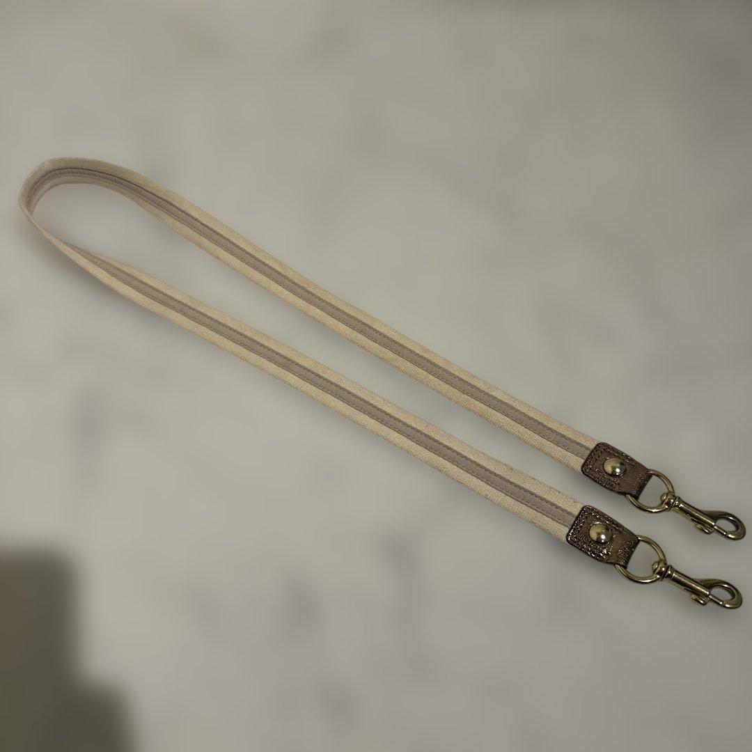 COACHポピー シグネチャー 2way ショルダーバッグ　ソーホー y2k