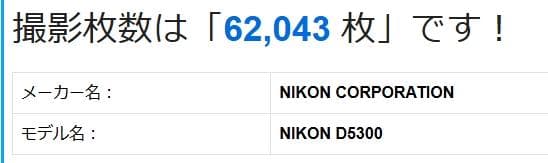 スマホ転送OK♥希少なグレー♥ダブルズーム♥ Nikon D5300