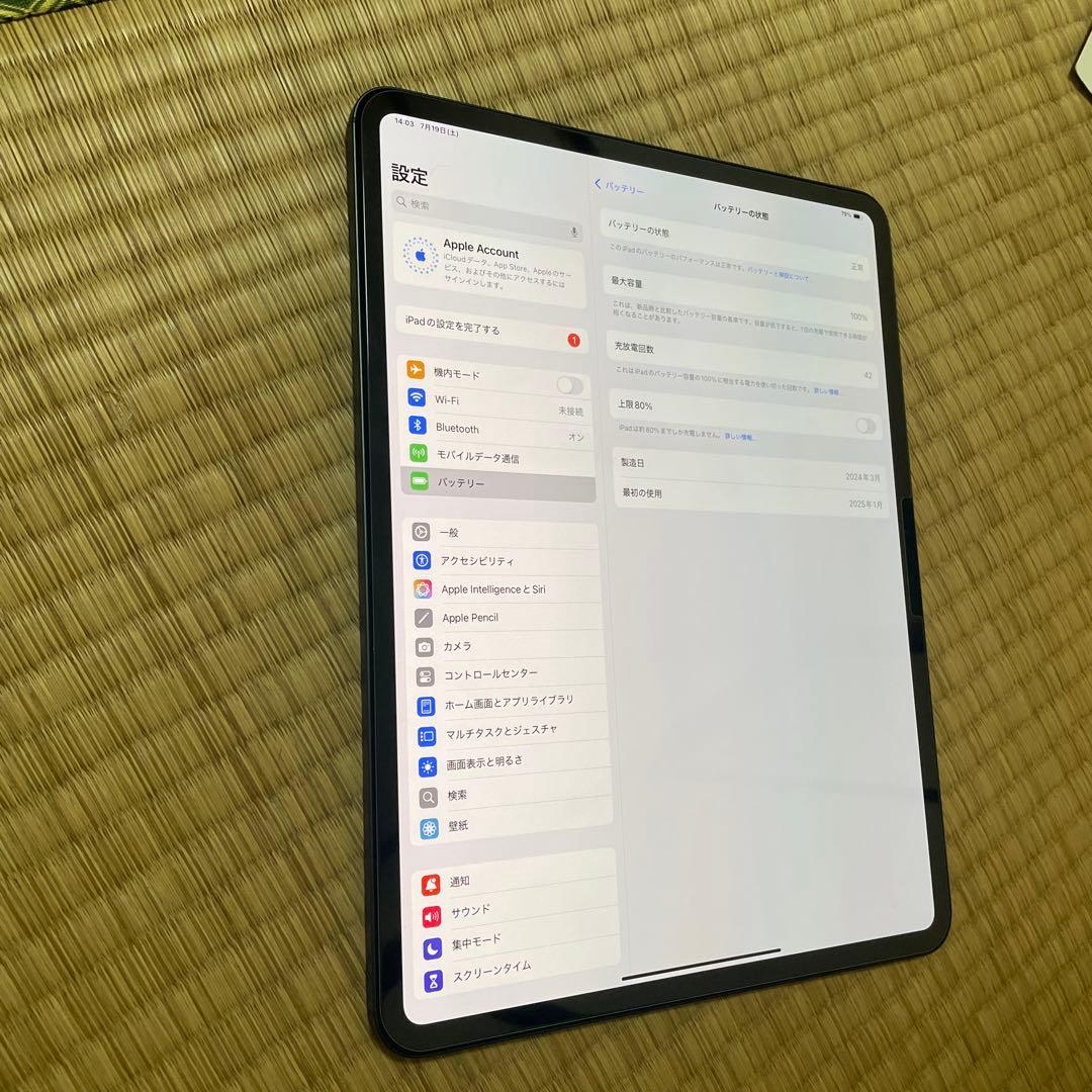 512GB iPad Pro 13㌅（M4）Wi-Fi+セルラー