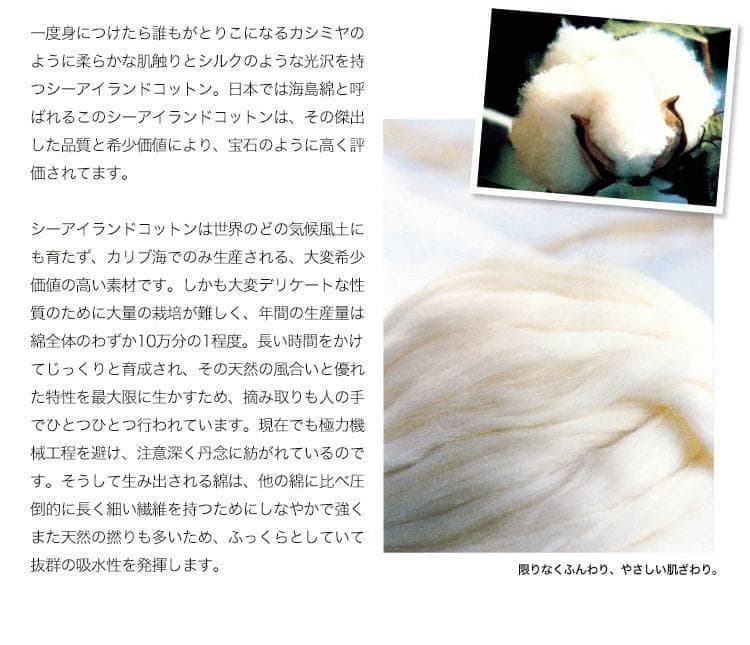 ラスト1 UCHINO 繊維の宝石海島綿 グレイスフル バスタオル