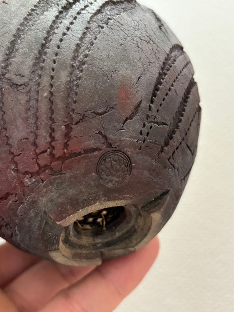 グラキリス 現地球 鶴仙園 関口貴仁 セキグチタカヒト