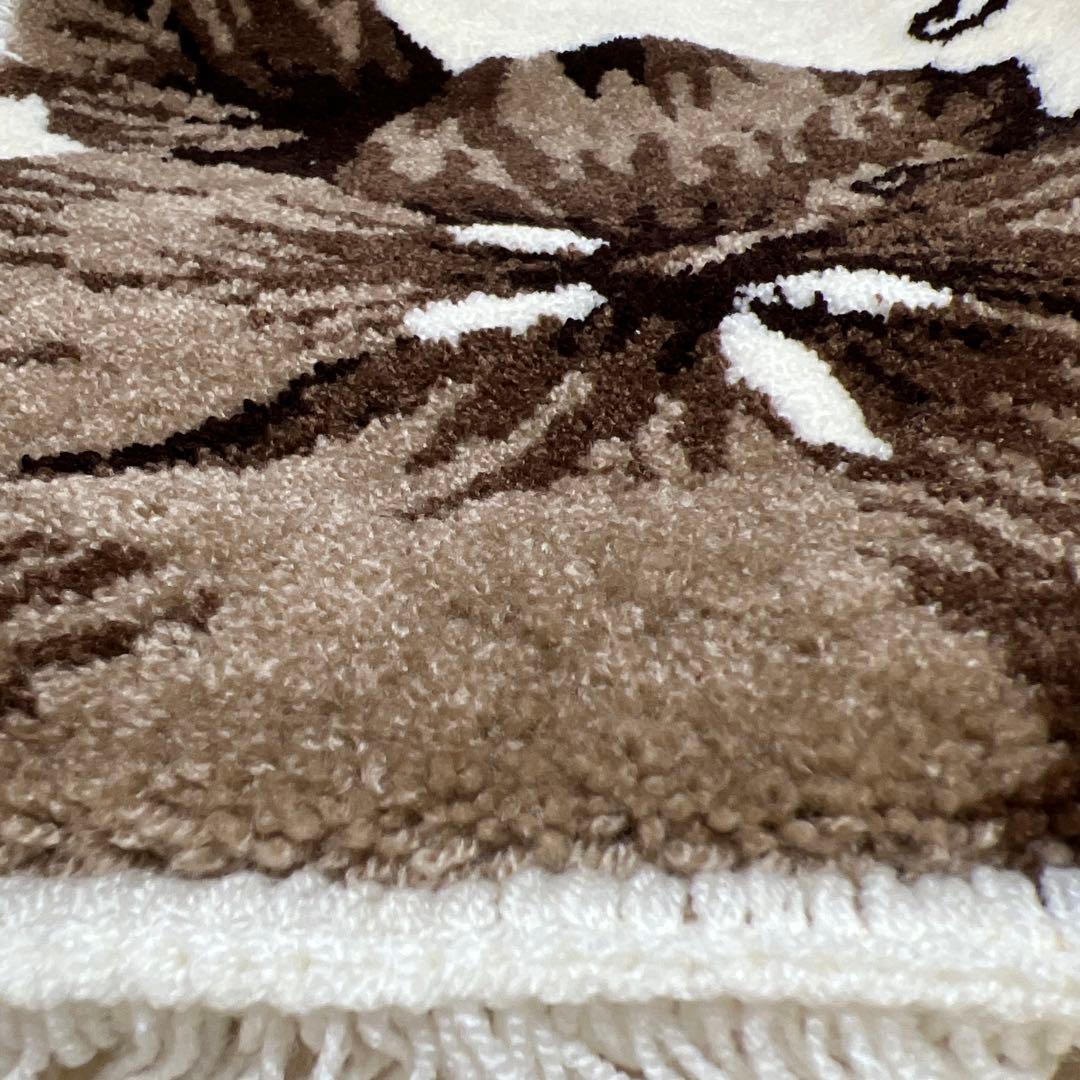 ‼️超注目商品‼️懐かしALBA ROSA玄関 マット‼️ バックのおまけ付き‼️