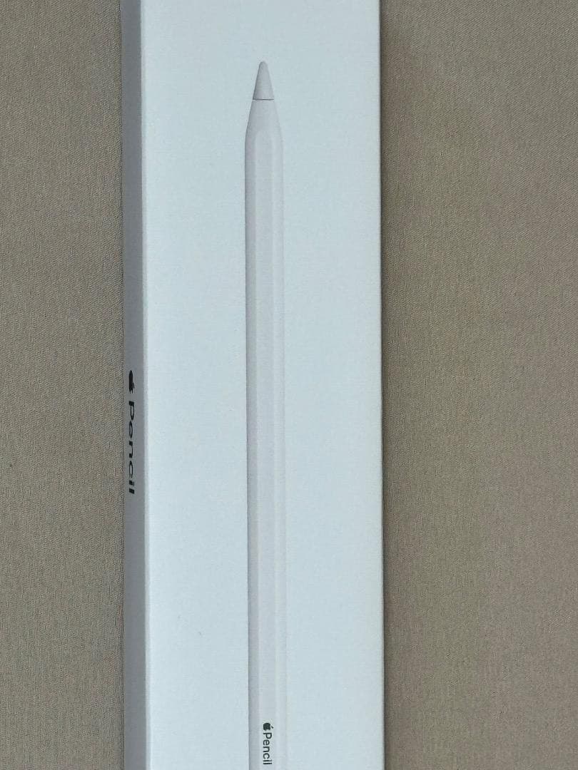iPadアクセサリー Apple Pencil 2