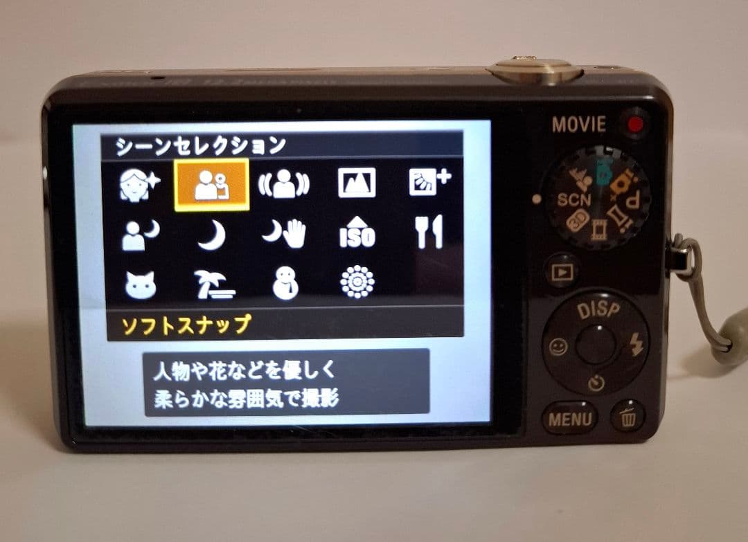 ソニー SONY Cyber-Shot DSC-WX5 デジタルカメラ