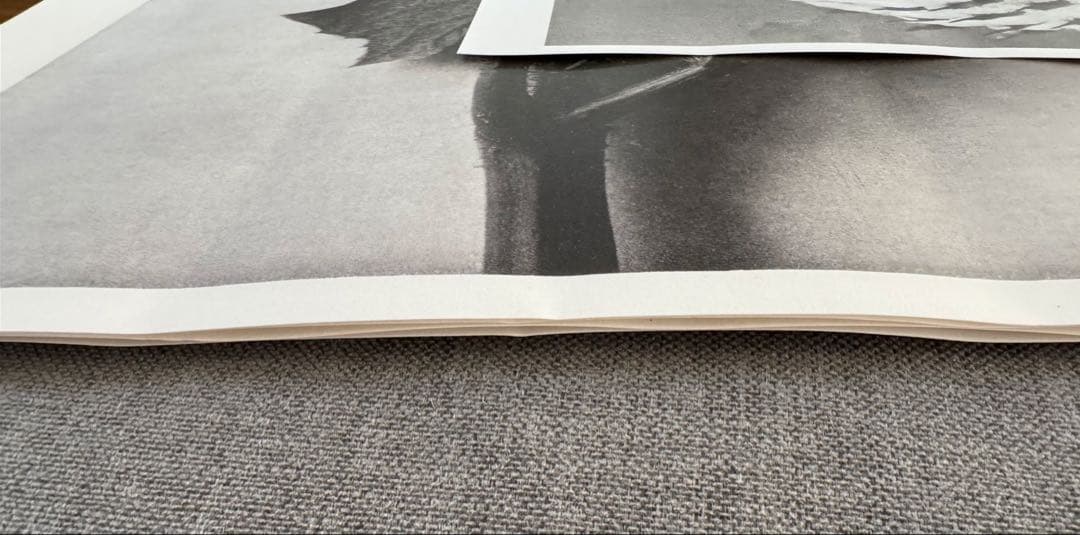 カールブロスフェルト Karl Blossfeldt ポスター インテリア
