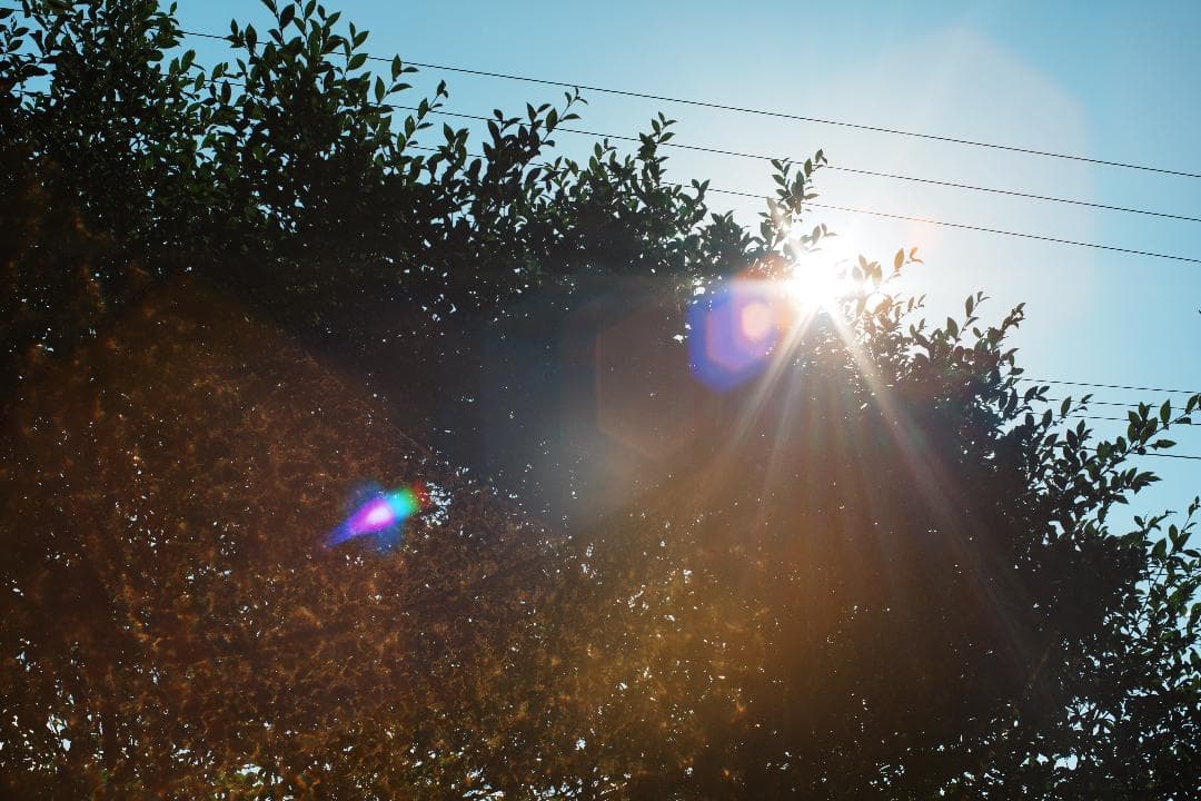 レンズ(単焦点) EUNOS Auto Yashinon-DX 50mm F1.4 329