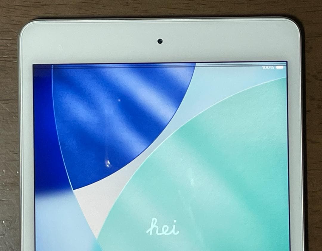 iPad mini 第5世代 256GB Wi-Fi （液晶ドット抜け有）