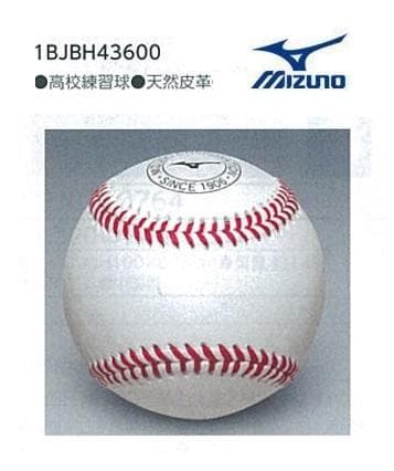 ミズノ 硬式ボール 練習球 高校野球 中学硬式 10個 1BJBH43600