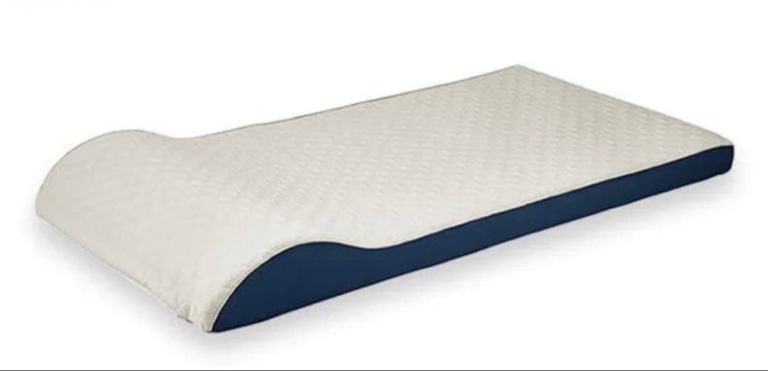 中、大型犬用のトゥルースリーパーベッド