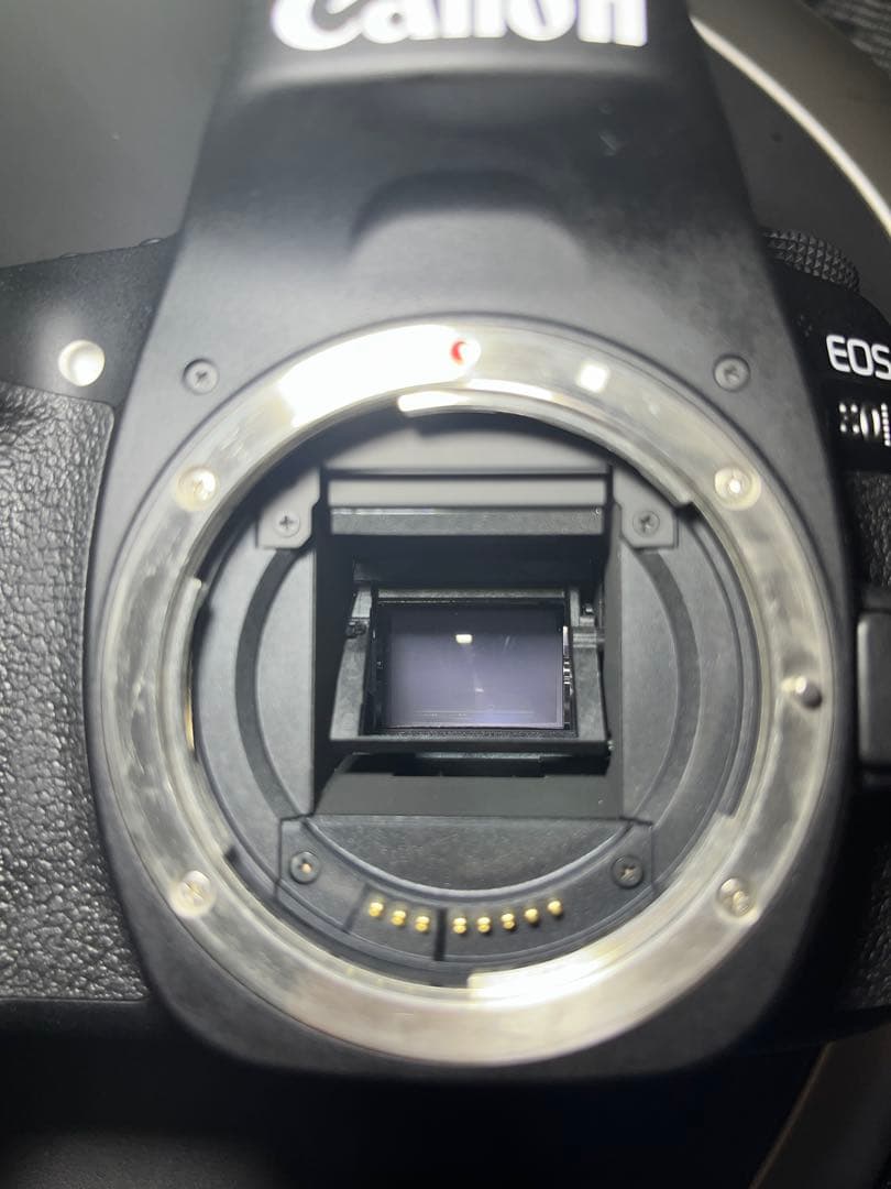 Canon EOS 80D + 2レンズセット+おまけ付き